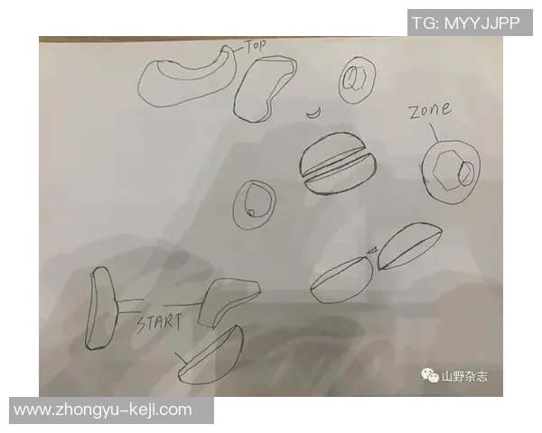 南京攀岩队心理素质深度对比及其对竞技表现的影响分析 南京攀岩队心理素质深度对比及其对竞技表现的影响分析