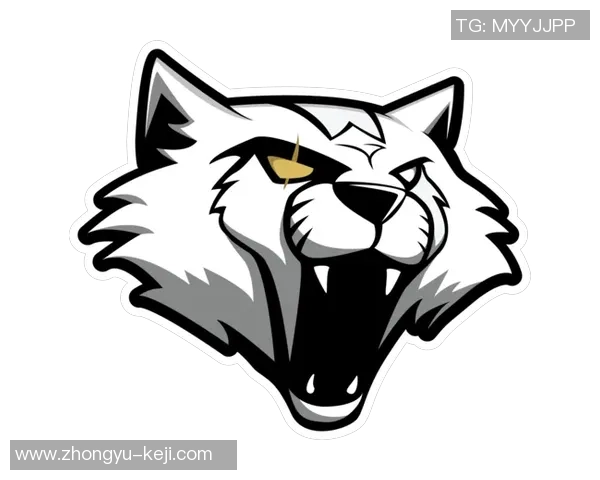 WE战队进攻策略深度解析：CSGO热点战术与团队协作探讨