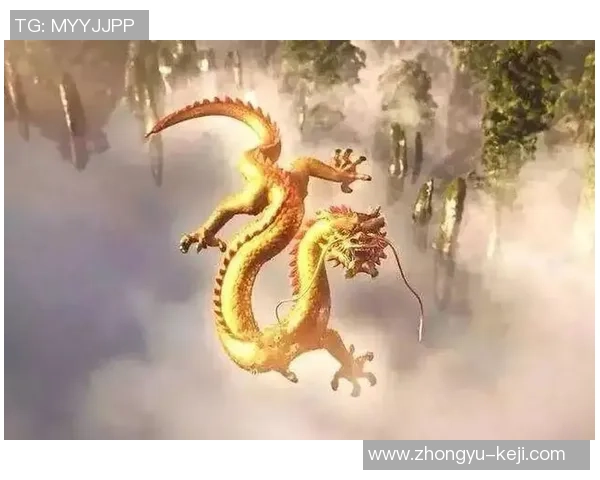 可兰白克的传奇人生与不屈精神探秘之旅